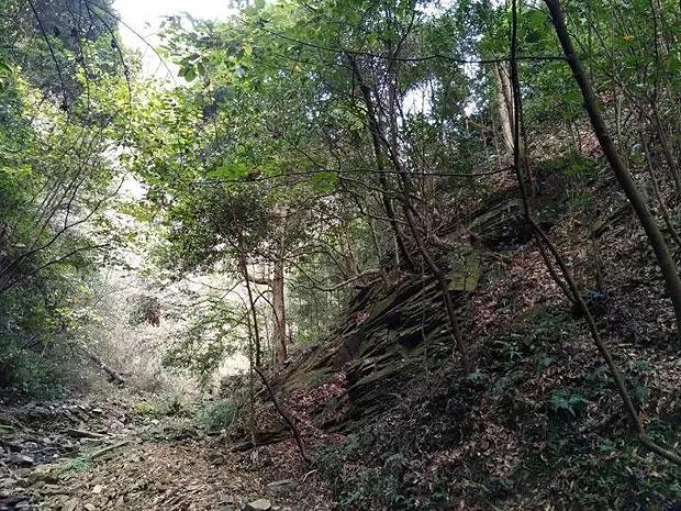 让拜登算盘落空！美轮番上阵，对华设下圈套，中方回应意味深长
