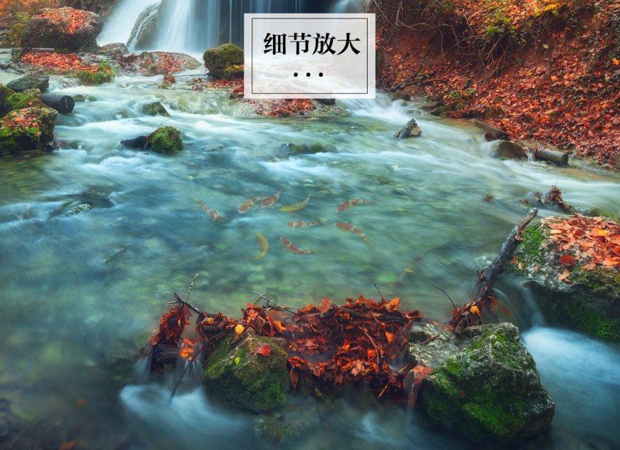 逃离冰淇淋屋